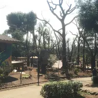 羽根木公園の写真・動画_image_68503