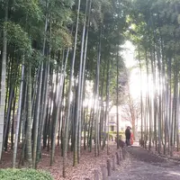 蘆花恒春園の写真・動画_image_68552