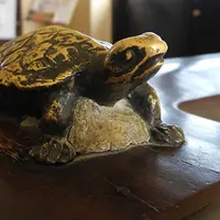 豊郷小学校旧校舎群の写真・動画_image_6856