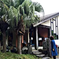 トロピカルコーストの写真・動画_image_68609