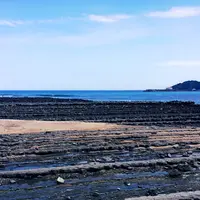 青島神社の写真・動画_image_68614