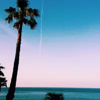 サンメッセ日南の写真・動画_image_68620