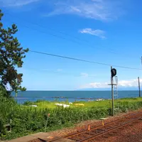 雨晴駅の写真・動画_image_6868
