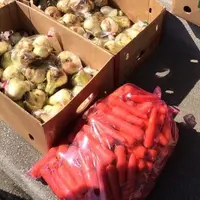 食菜市場きはらの写真・動画_image_68697
