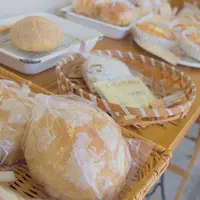 ブランケットの写真・動画_image_68737