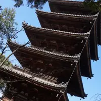 仁和寺の写真・動画_image_68830