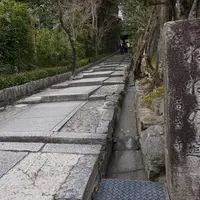 高台寺の写真・動画_image_68854