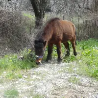 メテオラの写真・動画_image_68900