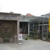 未来ぎのざの写真・動画_image_6901