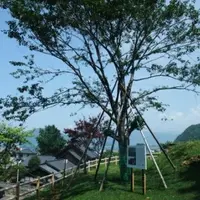 瑞林寺の写真・動画_image_6924