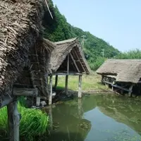 三方五湖の写真・動画_image_6929