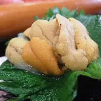 よしおかやの写真・動画_image_6931