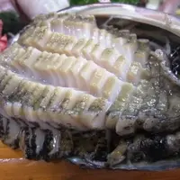 よしおかやの写真・動画_image_6932