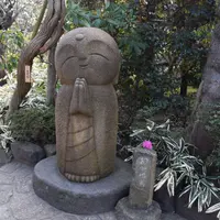 長谷寺の写真・動画_image_69334