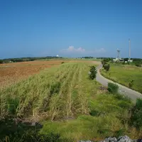 コート盛の写真・動画_image_6938