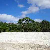 ナリサ浜の写真・動画_image_6942