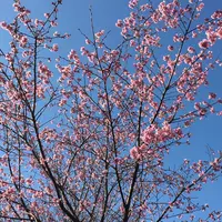 江戸川河川敷の写真・動画_image_69431