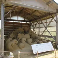 白兎神社の写真・動画_image_694653