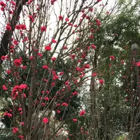 戸山公園（交通公園）の写真・動画_image_69525