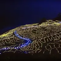 千枚田の写真・動画_image_69539
