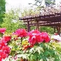 浜離宮恩賜庭園の写真・動画_image_69614