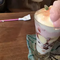 箱庭の写真・動画_image_69842