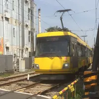 ニコラス精養堂の写真・動画_image_69970