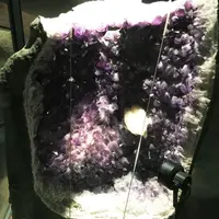 神奈川県立生命の星・地球博物館の写真・動画_image_69984