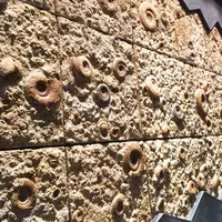 神奈川県立生命の星・地球博物館の写真・動画_image_69985