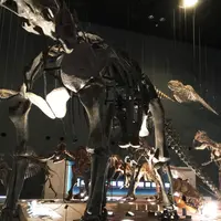 神奈川県立生命の星・地球博物館の写真・動画_image_69987
