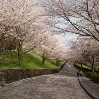 菊池市役所 総合体育館の写真・動画_image_69999