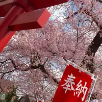 経塚稲荷神社の写真・動画_image_70171