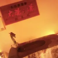 大田原温泉　日帰り館太陽の湯・ホテル龍城苑の写真・動画_image_70179