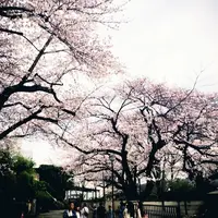 法明寺の写真・動画_image_70191