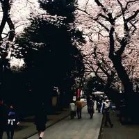 法明寺の写真・動画_image_70192