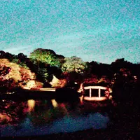 六義園の写真・動画_image_70194