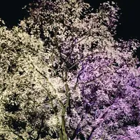 六義園の写真・動画_image_70195