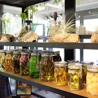 NEPENTHES OSAKAの写真・動画_image_70298