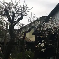 益甚酒店の写真・動画_image_70339