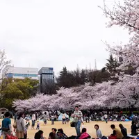 靱公園の写真・動画_image_70375