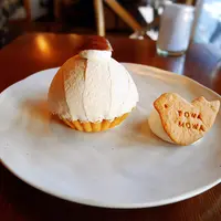 トワモワカフェ （towa mowa cafe）の写真・動画_image_70720