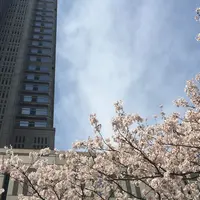 東京都庁の写真・動画_image_70993
