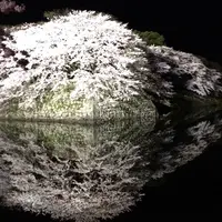 和菓子処さわ泉の写真・動画_image_71010