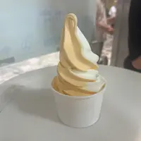 北海道どさんこプラザ有楽町店の写真・動画_image_711328