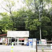 定光寺公園の写真・動画_image_71192