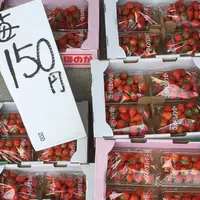 食菜市場きはらの写真・動画_image_71258