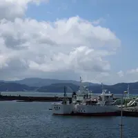 からびな 和いたりあんの写真・動画_image_7137