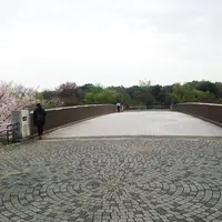 武蔵国分寺公園の写真・動画_image_71400