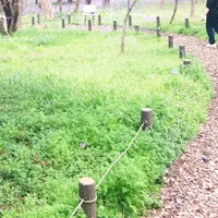 武蔵国分寺公園の写真・動画_image_71402