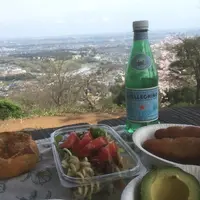 白山展望台の写真・動画_image_71450